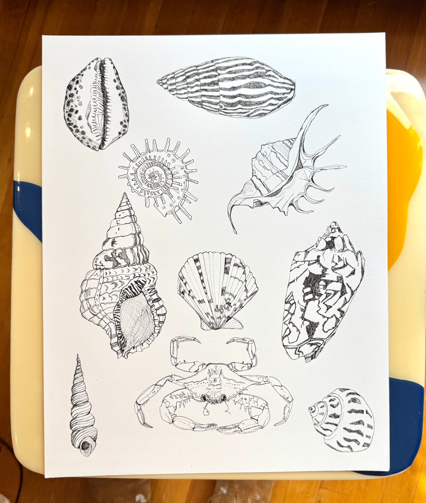 Sea