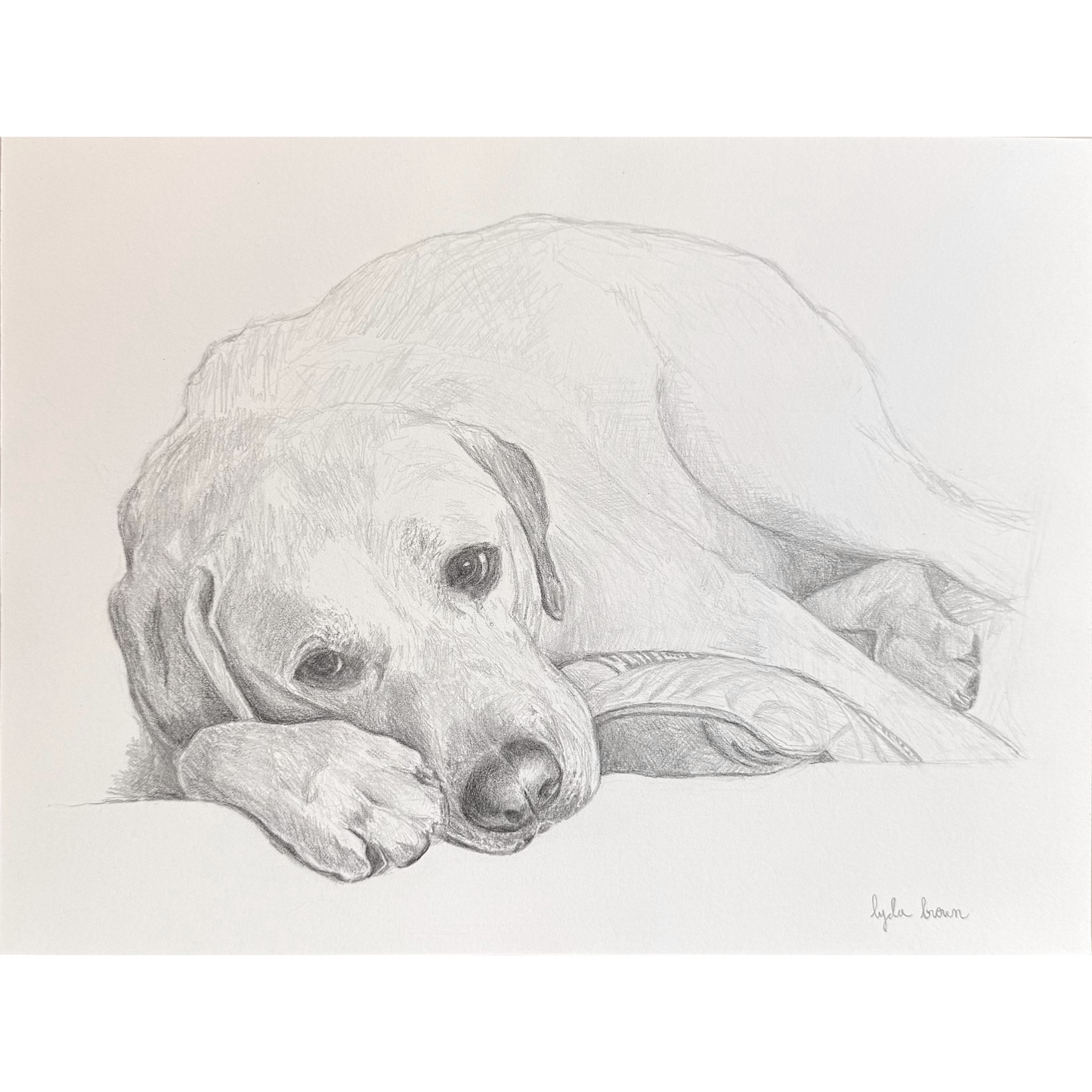 Animal Portrait Commission