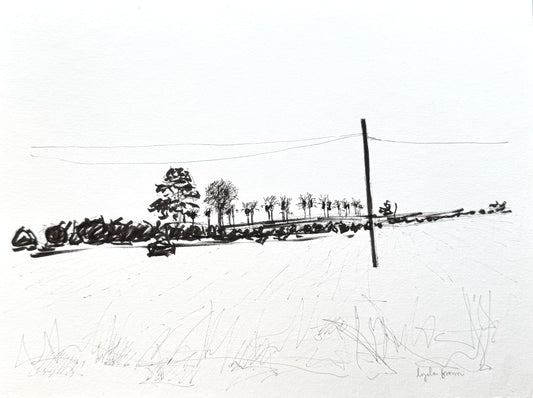 Spanish Countryside