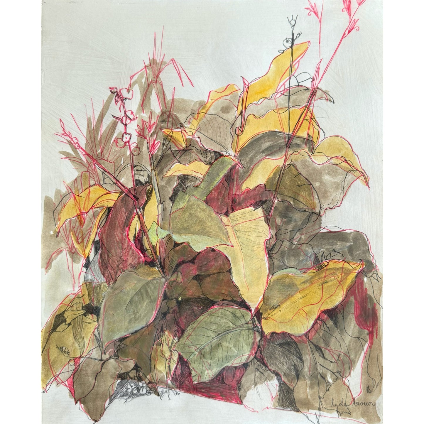 Colonial Lake Calla Lilly