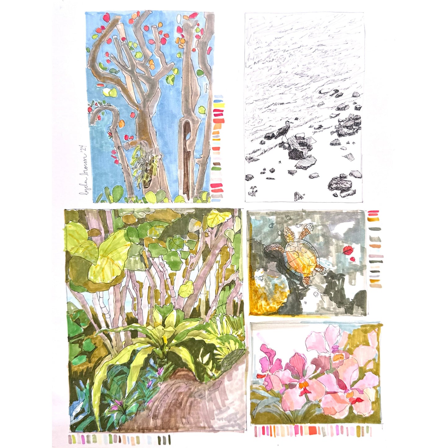 Lake Trail West Palm